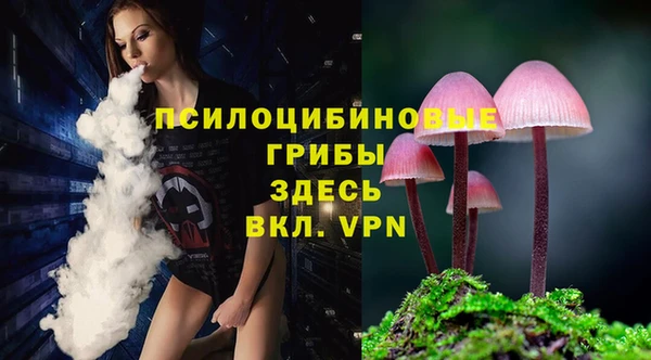 МДПВ Абдулино