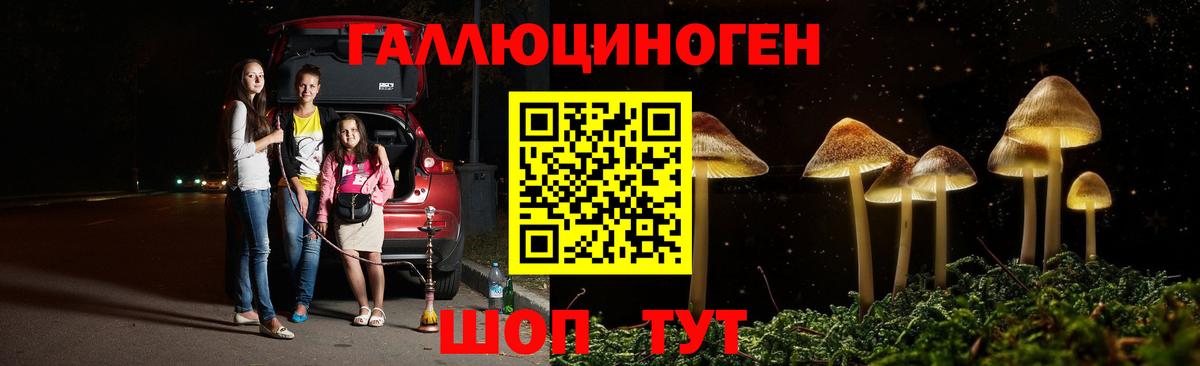 Касимов  Галлюциногенные грибы мицелий  Вход с VPN 